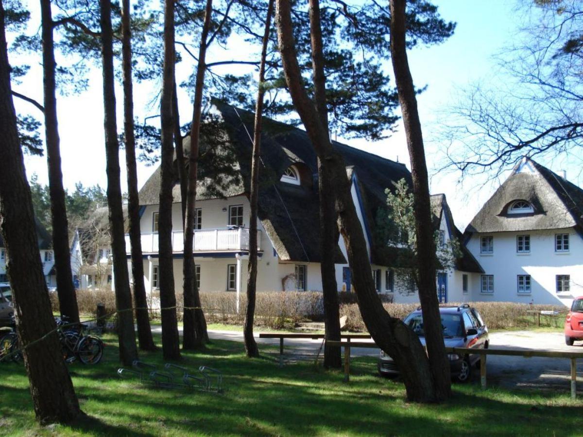Zingst Achtern Diek 12D Elly מראה חיצוני תמונה