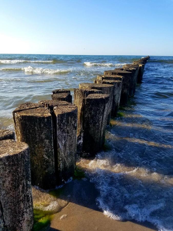 Zingst Achtern Diek 12D Elly מראה חיצוני תמונה