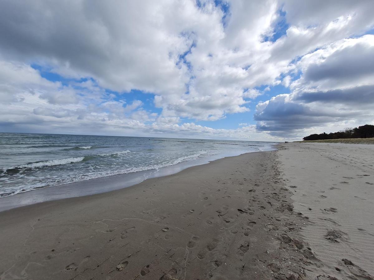 Zingst Achtern Diek 12D Elly מראה חיצוני תמונה