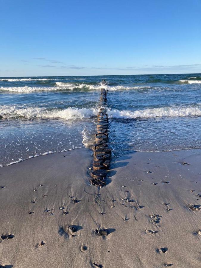 Zingst Achtern Diek 12D Elly מראה חיצוני תמונה